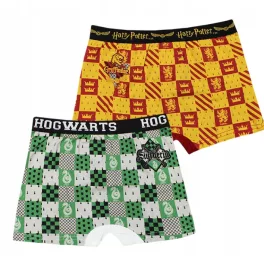   Harry Potter House Pride gyerek boxeralsó 2 darab/csomag 9 - 10 év / 134 - 140 cm