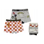 Harry Potter Hogwarts House gyerek boxeralsó 2 darab/csomag 9 - 10 év / 134 - 140 cm