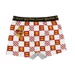 Harry Potter Hogwarts House gyerek boxeralsó 2 darab/csomag 9 - 10 év / 134 - 140 cm