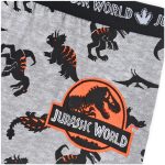Jurassic World Danger Green gyerek boxeralsó 2 darab/csomag 4 - 5 év / 104 - 110 cm