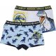Jurassic World gyerek boxeralsó 2 darab/csomag 2/3 év 