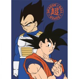 Dragon Ball Duo polár takaró 100x140cm