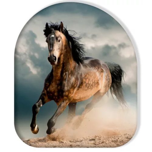 Lovas Wild Stallion formapárna, díszpárna