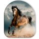 Lovas Wild Stallion formapárna, díszpárna