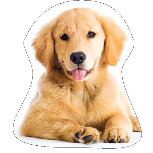 Kutyás Golden Retriver formapárna, díszpárna