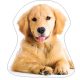 Kutyás Golden Retriver formapárna, díszpárna
