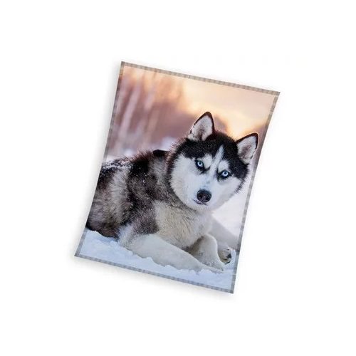 Kutyás Husky coral fleece polár takaró 150x200cm