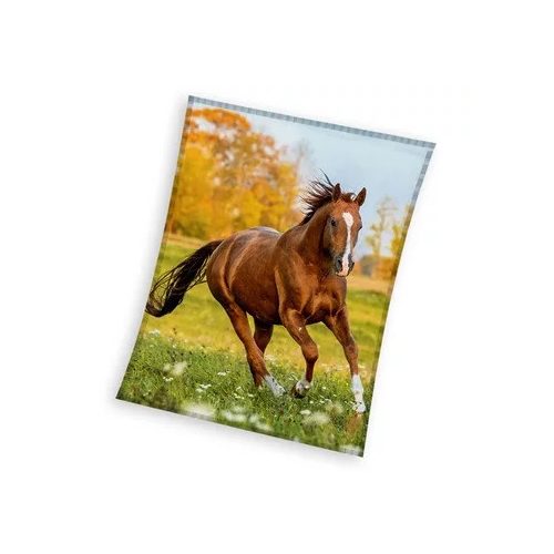 Lovas Gallop coral fleece polár takaró 150x200cm