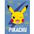 Pokémon Electrifying coral fleece polár takaró 150x200cm