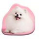 Kutyás Pomeranian formapárna, díszpárna 39x37 cm Velúr 
