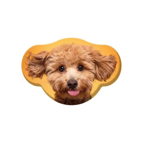 Kutyás Toy Poodle formapárna, díszpárna 28x40 cm Velúr 
