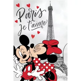 Disney Minnie polár takaró 100*150cm