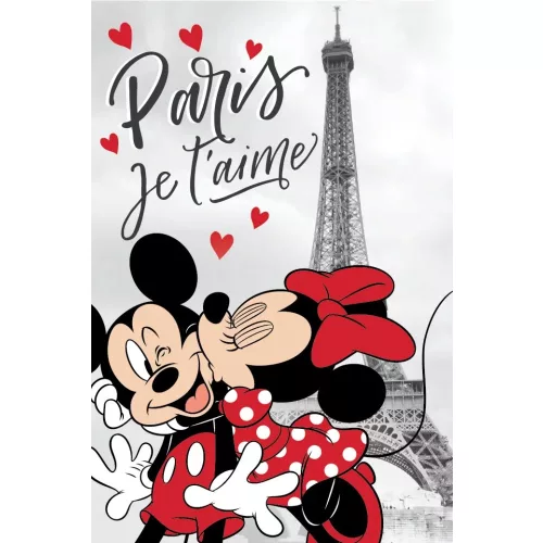 Disney Minnie polár takaró 100*150cm