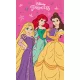 Disney Hercegnők Charm kéztörlő arctörlő, törölköző 30x50cm