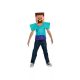 Minecraft Steve Essential jelmez 7-8 év