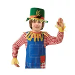 Madárijesztő Harvest jelmez 110/120 cm