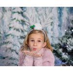 Silver, Ezüst agancs fejpánt 17 cm