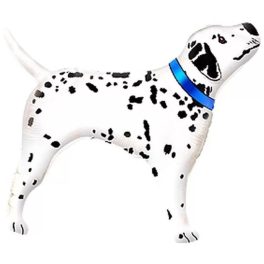Dalmation Dog, Dalmata fólia lufi 61 cm