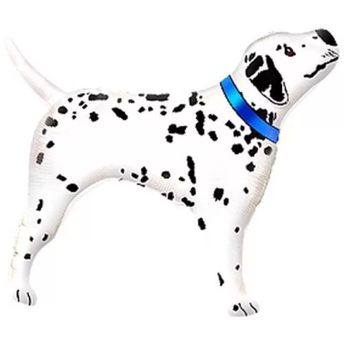 Dalmation Dog, Dalmata fólia lufi 61 cm