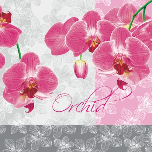 Orchidea Romantic szalvéta 20 db-os 33x33 cm