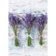 Levendula Bouquet A/4 gumis mappa 