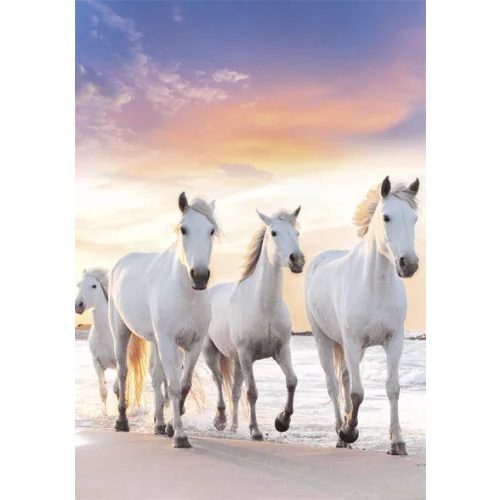 Lovas Gallop A/4 gumis mappa 