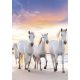 Lovas Gallop A/4 gumis mappa 
