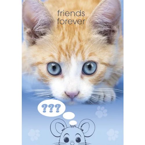 Cicás Friends Forever A/4 gumis mappa 