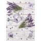 Levendula Rustic A/4 gumis mappa 