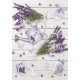 Levendula Rustic A/4 gumis mappa