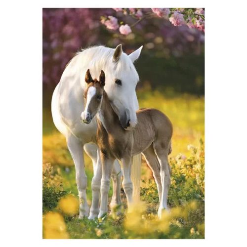 Lovas Spring Foal A/4 gumis mappa 
