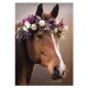 Lovas Wreath A/4 gumis mappa 